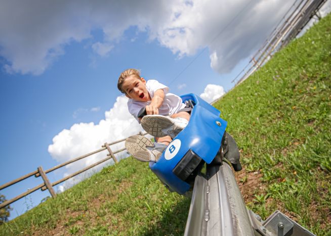 Toboggan Track